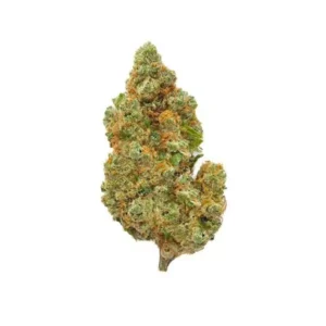 AMNESIA CBD CBN