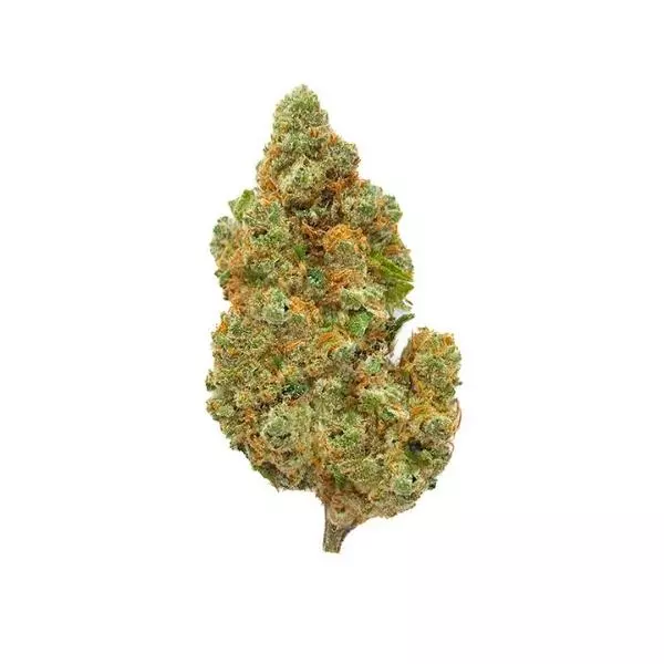 AMNESIA CBD CBN