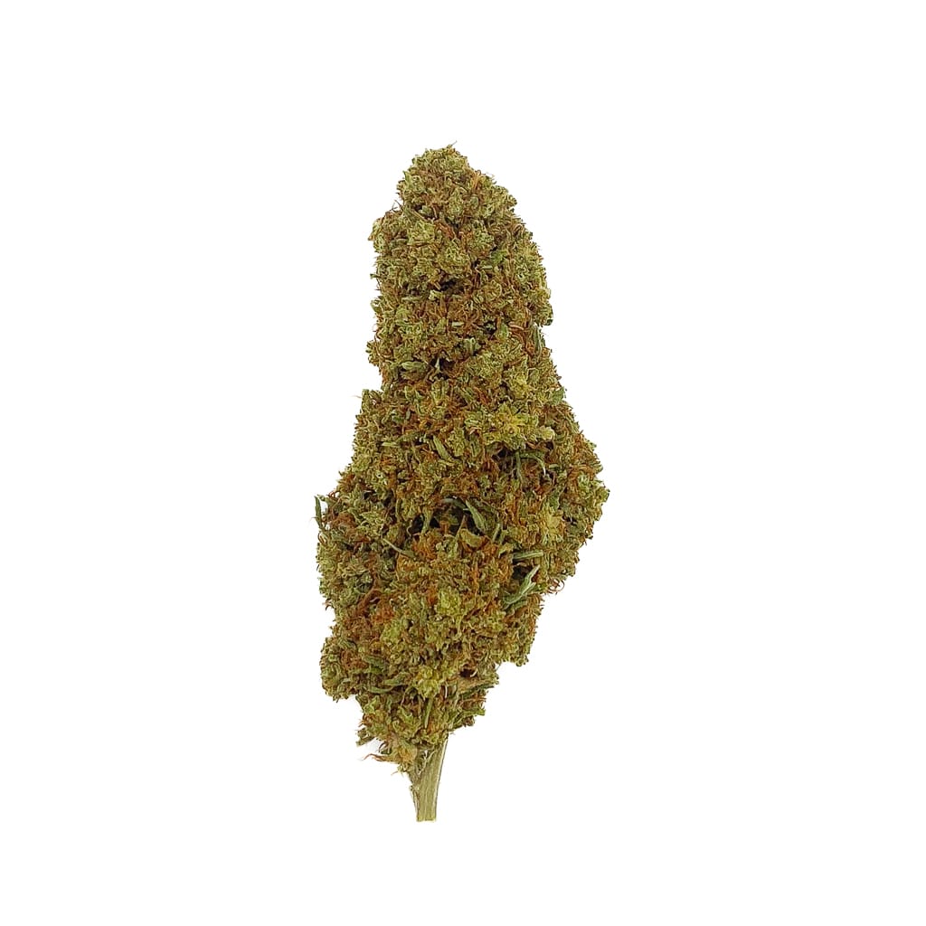 WHITE WIDOW