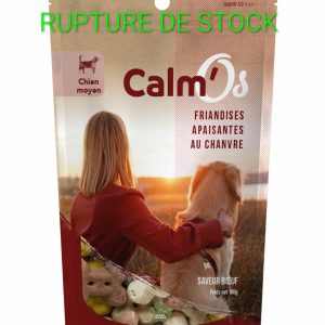 CROQUETTES AU CHANVRE – MOYEN CHIEN